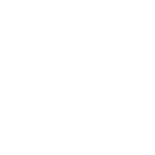 Security Icon